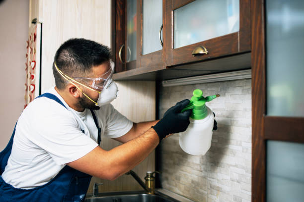 Best Pest Control Treatment  in Carver, MN