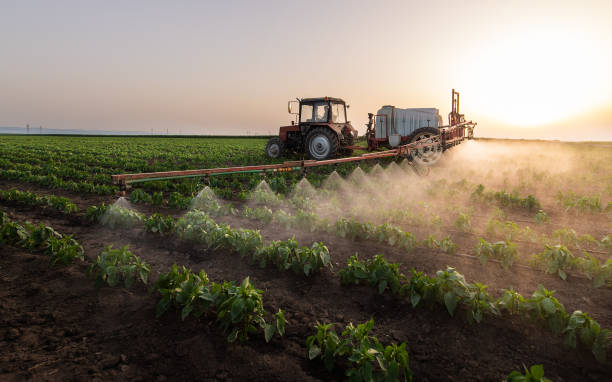 Best Mosquito Control Services  in Carver, MN