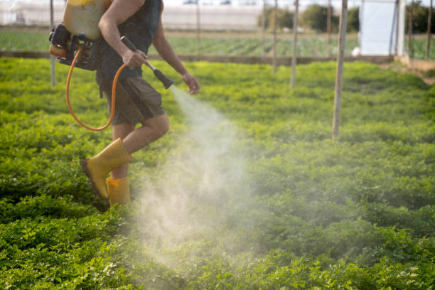 Best Commercial Pest Control Services  in Carver, MN