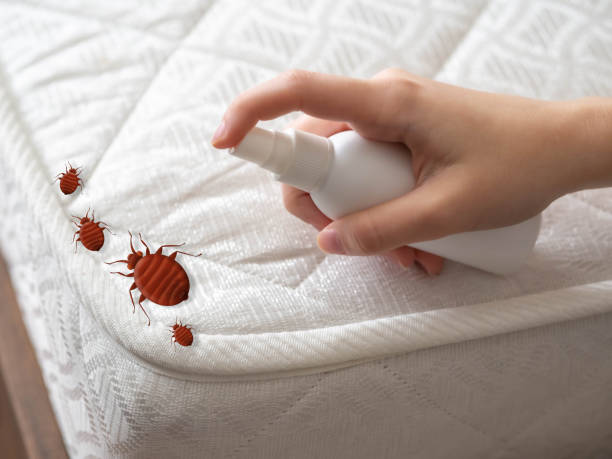 Insect Control in Carver, MN